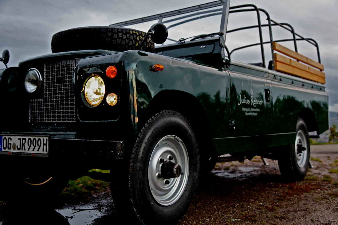 Weinbergsafari