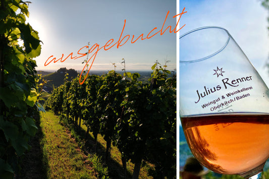 Weinwanderung am 10. Oktober 2026