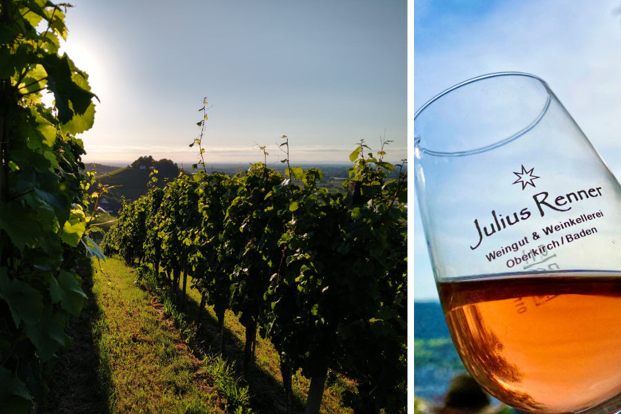 13. Juni 2026 Weinwanderung