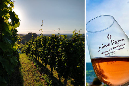 Weinwanderung am 10. Oktober 2026